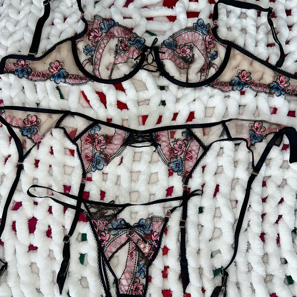 Honey Birdette Black and Pink Embroidered Bra Set